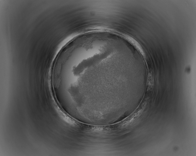 X0000100761098200806191201