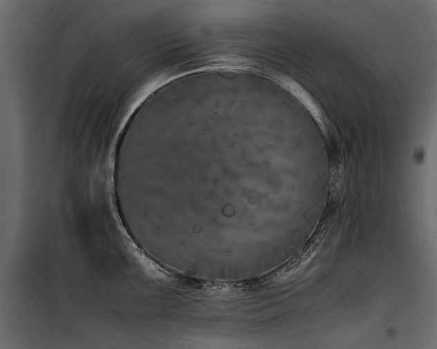 X0000100761099200806191201