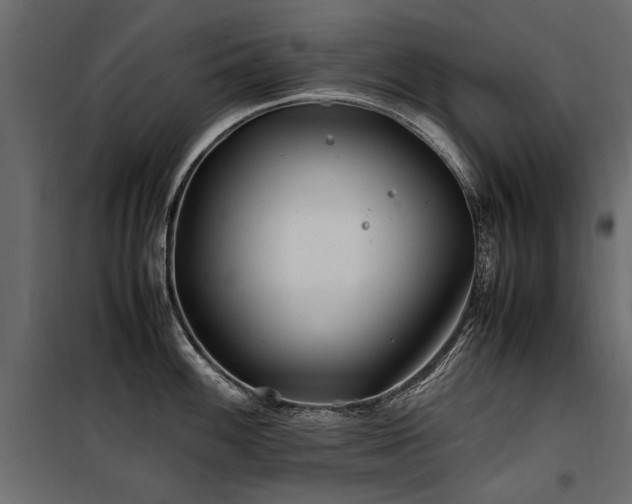 X0000100761100200806191201