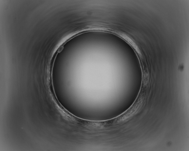 X0000100761101200806191201