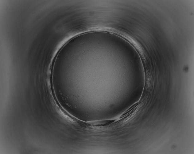 X0000100761102200806191201