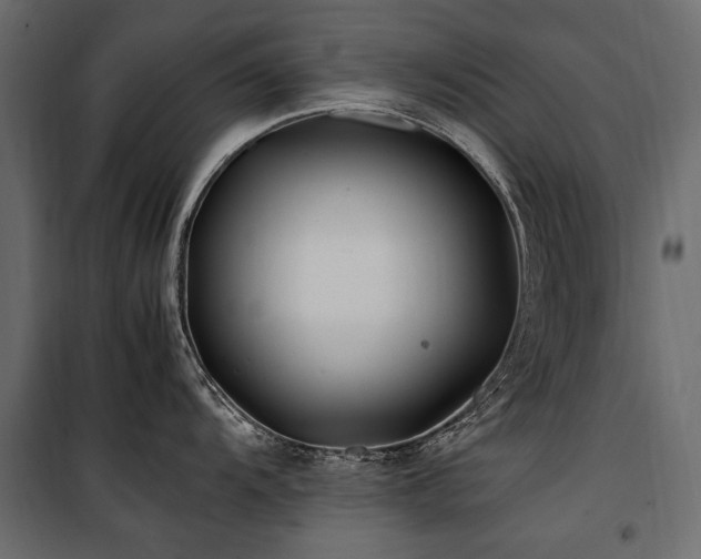 X0000100761104200806191201