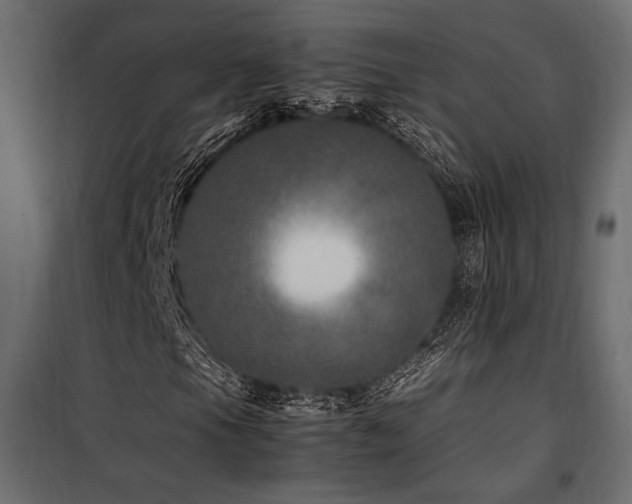 X0000100761105200806191201