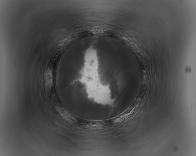 X0000100761106200806191201