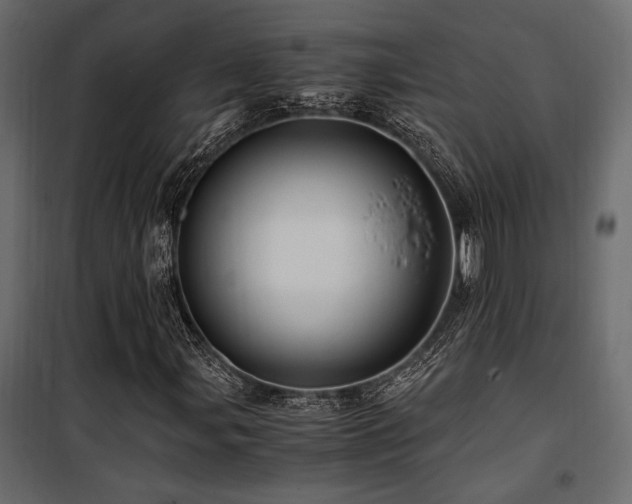 X0000100761107200806191201