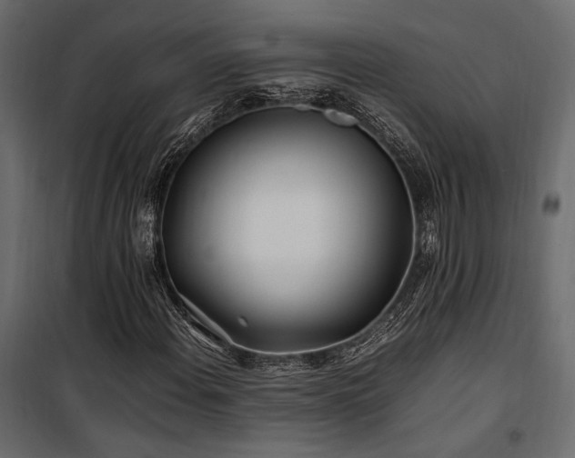 X0000100761108200806191201