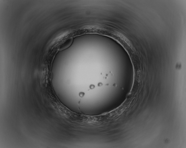 X0000100761111200806191201