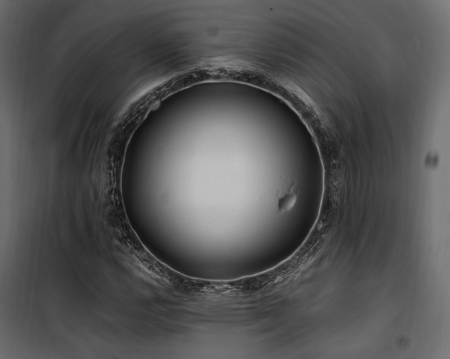 X0000100761112200806191201