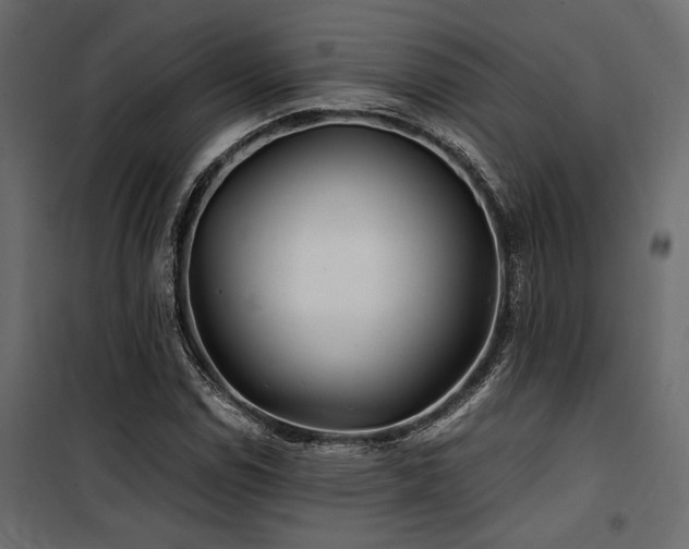 X0000100761114200806191201