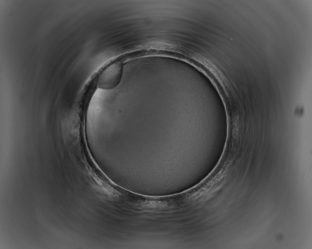 X0000100761115200806191201