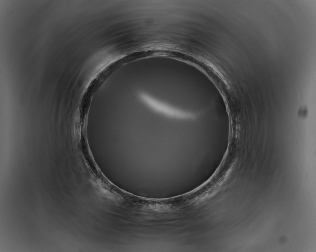 X0000100761117200806191201