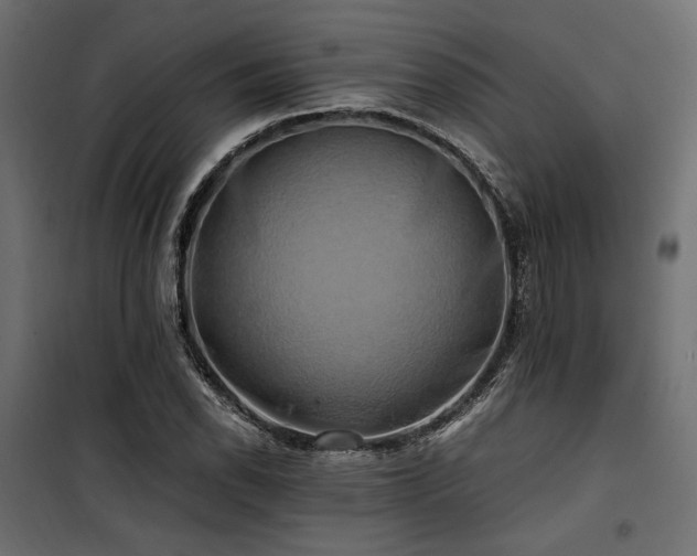 X0000100761118200806191201