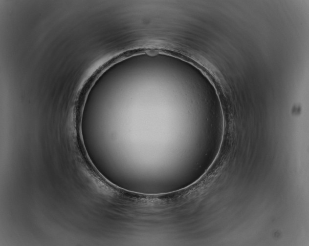 X0000100761120200806191201