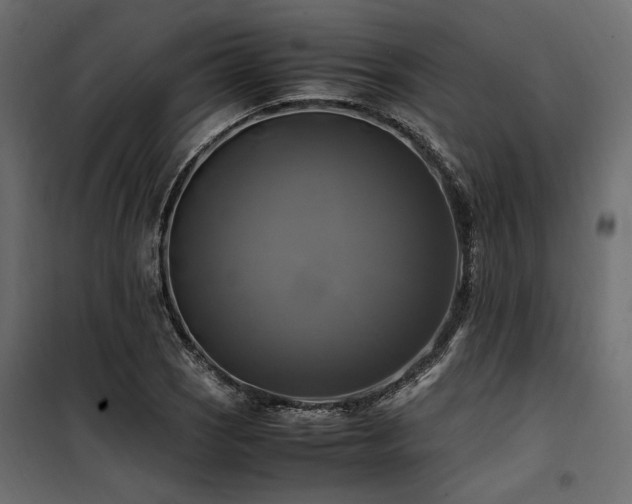 X0000100761121200806191201