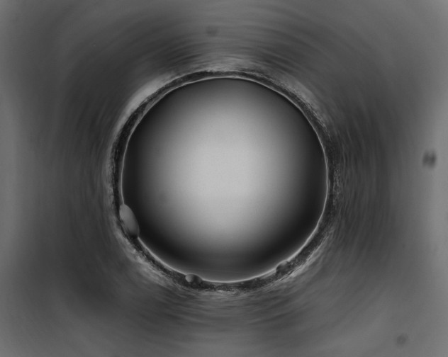 X0000100761122200806191201