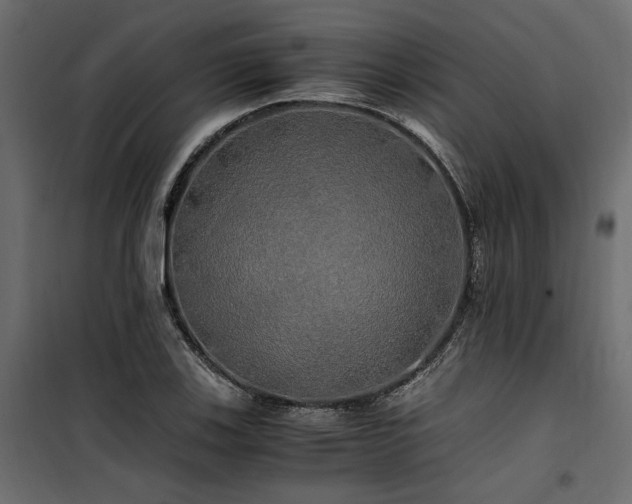 X0000100761123200806191201