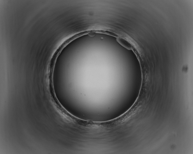 X0000100761124200806191201