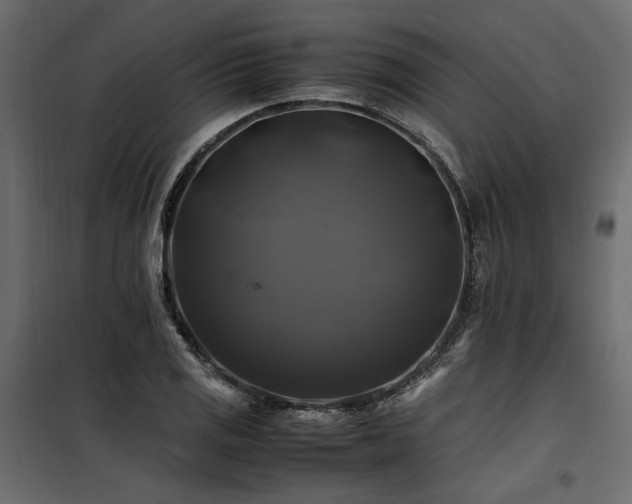 X0000100761125200806191201