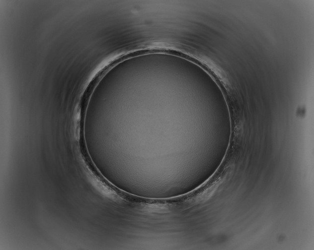 X0000100761126200806191201