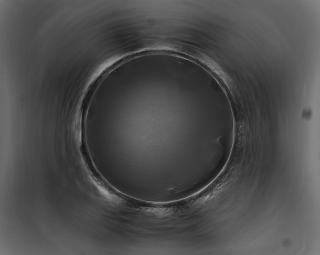 X0000100761127200806191201