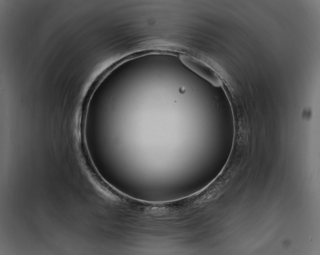 X0000100761128200806191201