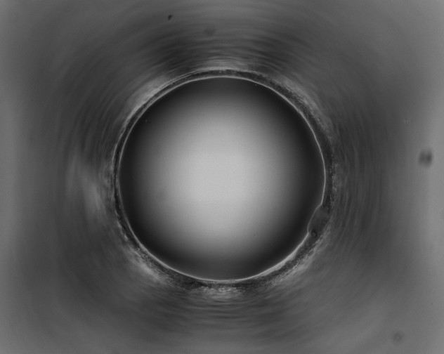 X0000100761129200806191201