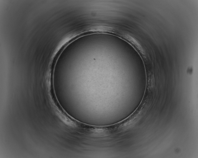 X0000100761130200806191201