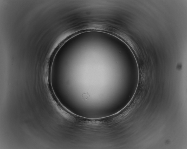 X0000100761131200806191201