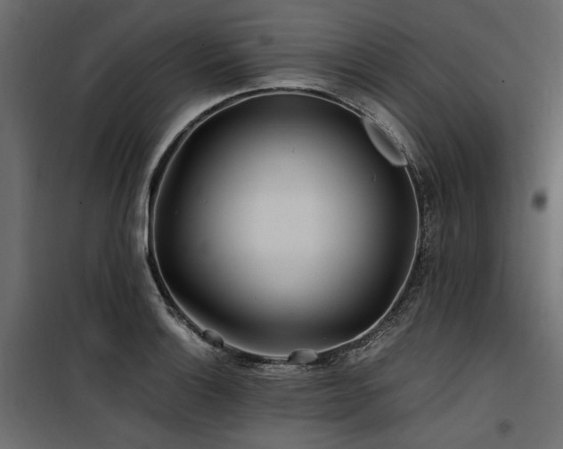 X0000100761132200806191201