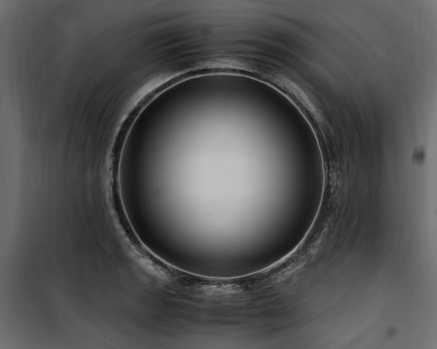 X0000100761133200806191201