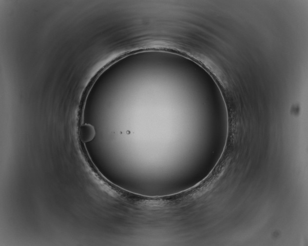 X0000100761134200806191201