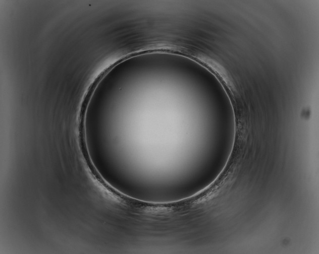 X0000100761135200806191201