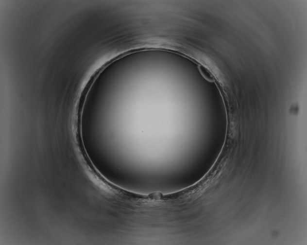 X0000100761136200806191201