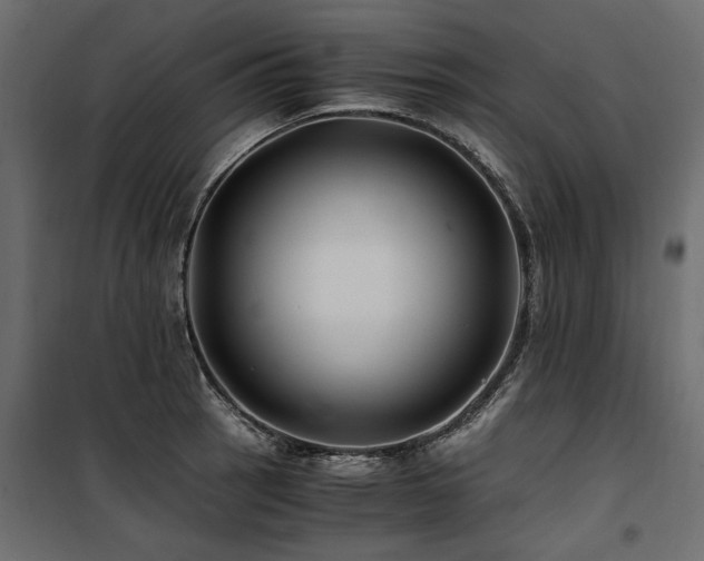 X0000100761137200806191201