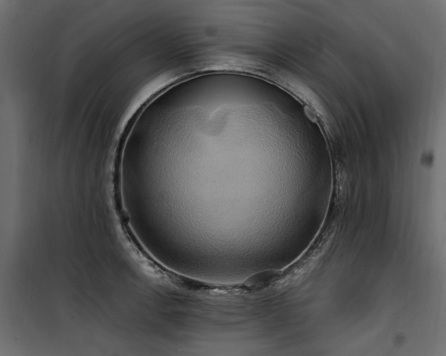 X0000100761138200806191201