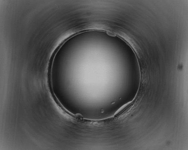 X0000100761139200806191201