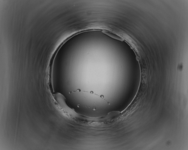 X0000100761140200806191201