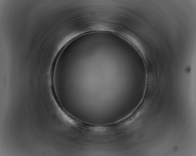 X0000100761141200806191201