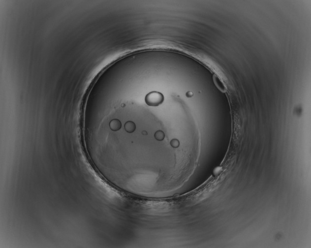 X0000100761142200806191201