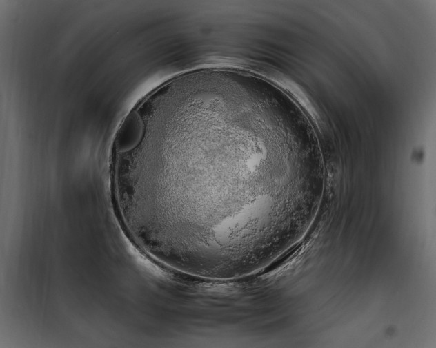 X0000100761143200806191201