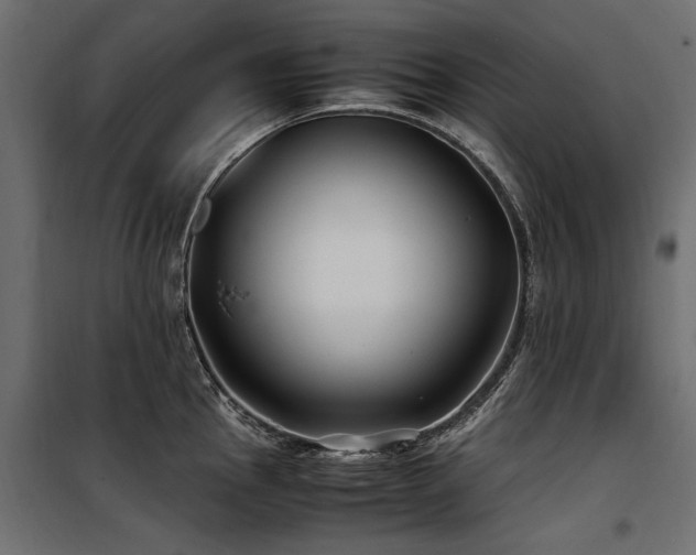 X0000100761145200806191201