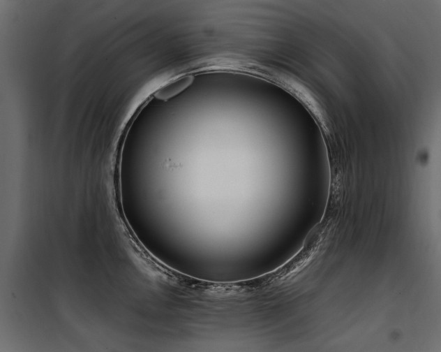 X0000100761146200806191201