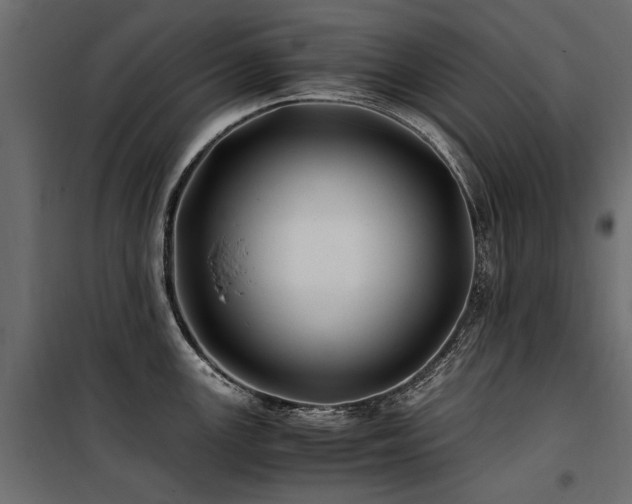 X0000100761147200806191201