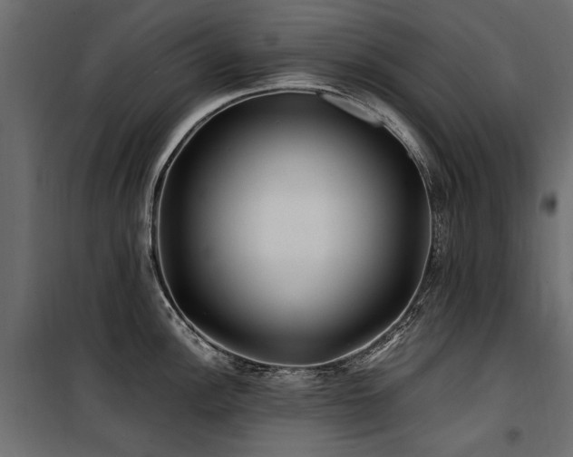 X0000100761148200806191201