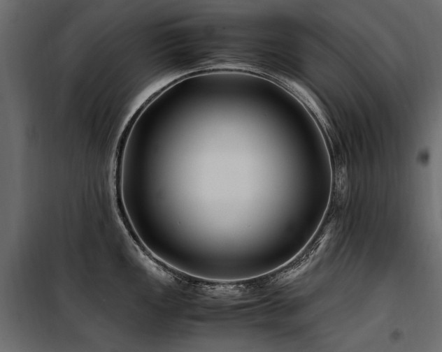 X0000100761149200806191201