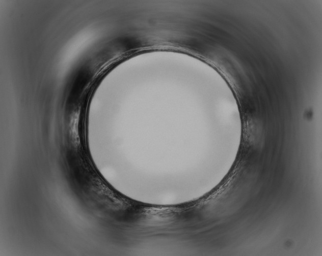 X0000100761150200806191201