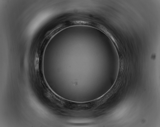 X0000100761151200806191201