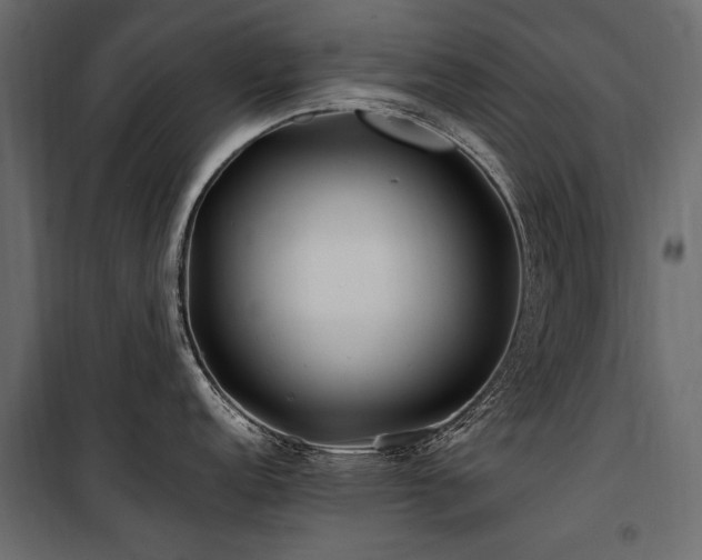 X0000100761152200806191201