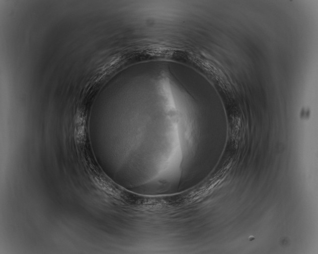 X0000100761154200806191201