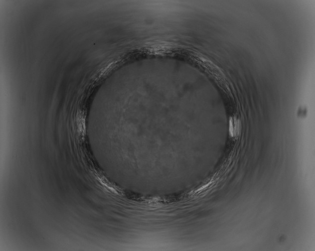 X0000100761155200806191201